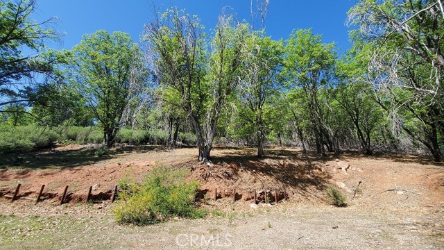 Detail Gallery Image 6 of 12 For 11890 Loch Lomond, Loch Lomond,  CA 95461 - – Beds | – Baths