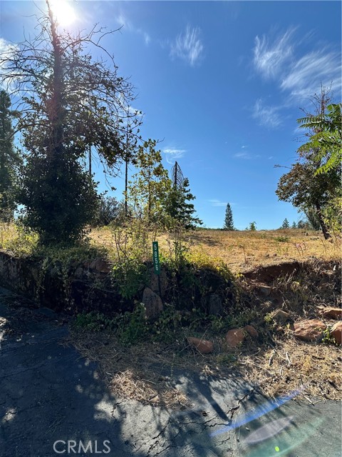 Front Image Thumbnail for CRPA25201177