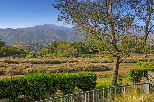 37 Lobelia, Rancho Santa Margarita CA: https://media.crmls.org/medias/526ad599-1ad4-42e5-9733-4ee5e5eb7037.jpg