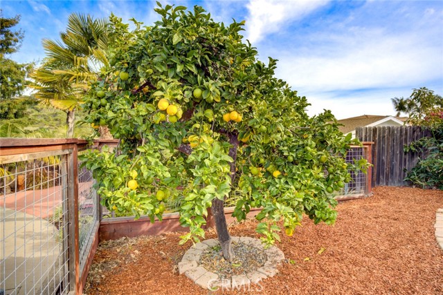 Detail Gallery Image 25 of 30 For 614 Harrison St, Arroyo Grande,  CA 93420 - 3 Beds | 2 Baths