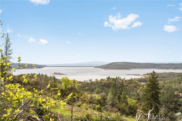 Detail Gallery Image 35 of 57 For 0 Canyon Creek Rd, Berry Creek,  CA 95916 - 1 Beds | 1 Baths