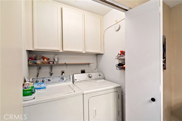 Image 6 for 3072   Sunflower CIR