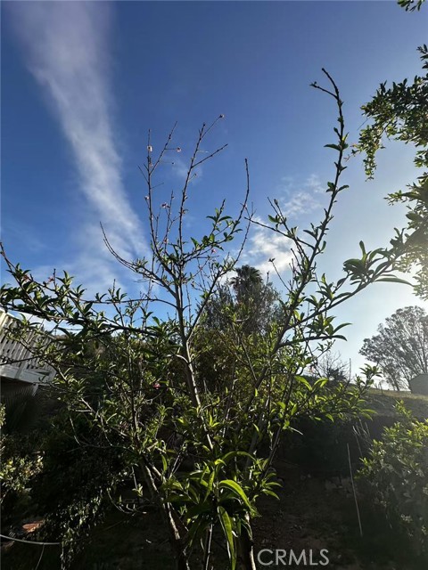 7929 bolton ave, Riverside CA: https://media.crmls.org/medias/5280314f-c907-49f2-adfd-cb89ef50bed8.jpg