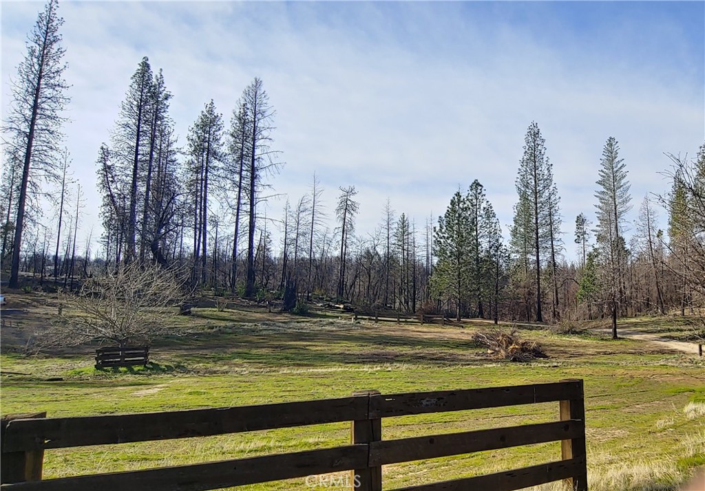 41 Raccoon Road, Berry Creek, CA 95916