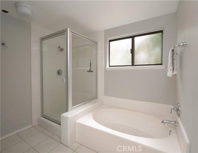 Walk-in Shower and Oval Soaking Tub