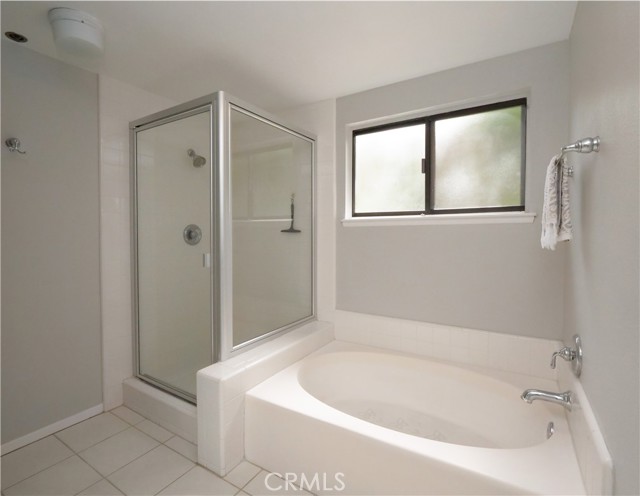 Walk-in Shower and Oval Soaking Tub