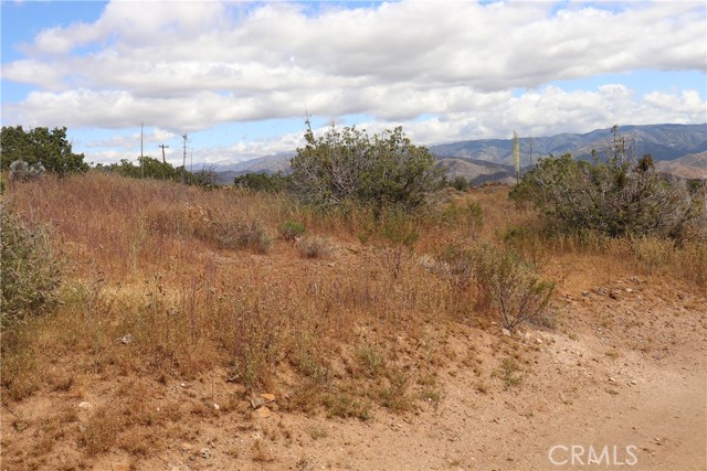 0 Vac/Cor Mountain Spring/Carrol, Acton, California 93510, ,Land,For Sale,0 Vac/Cor Mountain Spring/Carrol,CRSR23077660