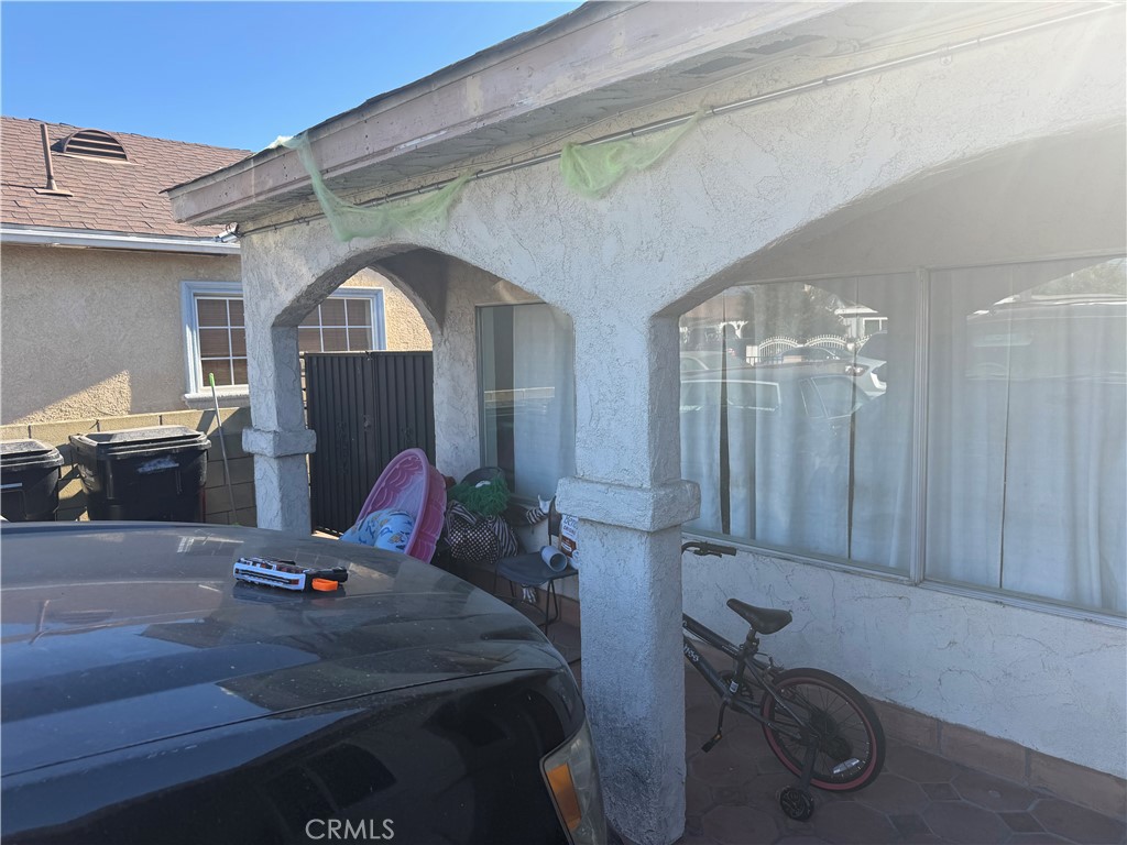 10146 Alpaca Street