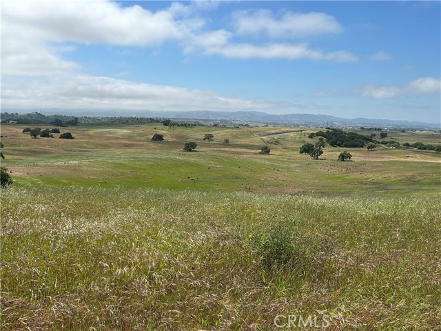 Detail Gallery Image 16 of 38 For 1975 Hidden Acre Ln, Paso Robles,  CA 93446 - 3 Beds | 2 Baths