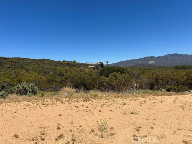 38111 Manzanita Mountain Lane, Anza CA: https://media.crmls.org/medias/5293e926-32aa-450a-86ac-56c24050b150.jpg
