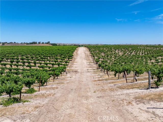 Detail Gallery Image 18 of 33 For 5275 Camp 8 Rd, Paso Robles,  CA 93446 - 12 Beds | 7/1 Baths