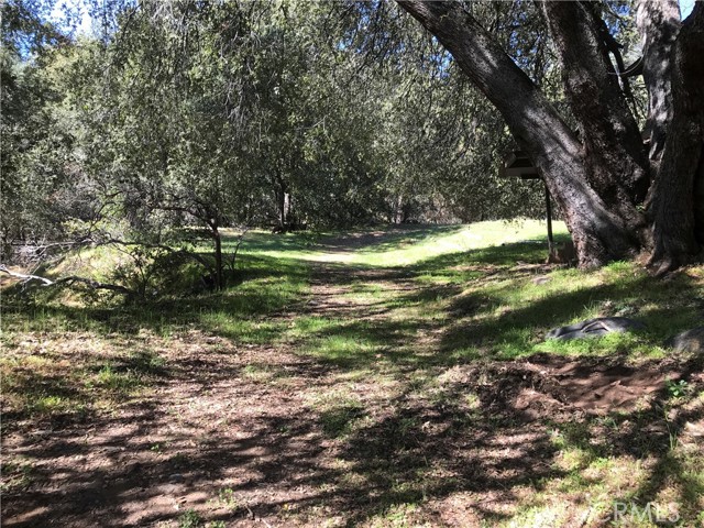 Detail Gallery Image 22 of 31 For 38088 Serpa Canyon Rd, Coarsegold,  CA 93614 - 3 Beds | 2 Baths