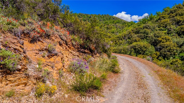 Detail Gallery Image 7 of 43 For 4743 Buffalo Gulch Rd, Midpines,  CA 95345 - – Beds | – Baths
