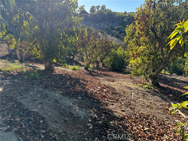 23192 De Anza Road, Temecula CA: https://media.crmls.org/medias/52a746cd-9ca8-42b5-a66a-0cc74e6baabc.jpg