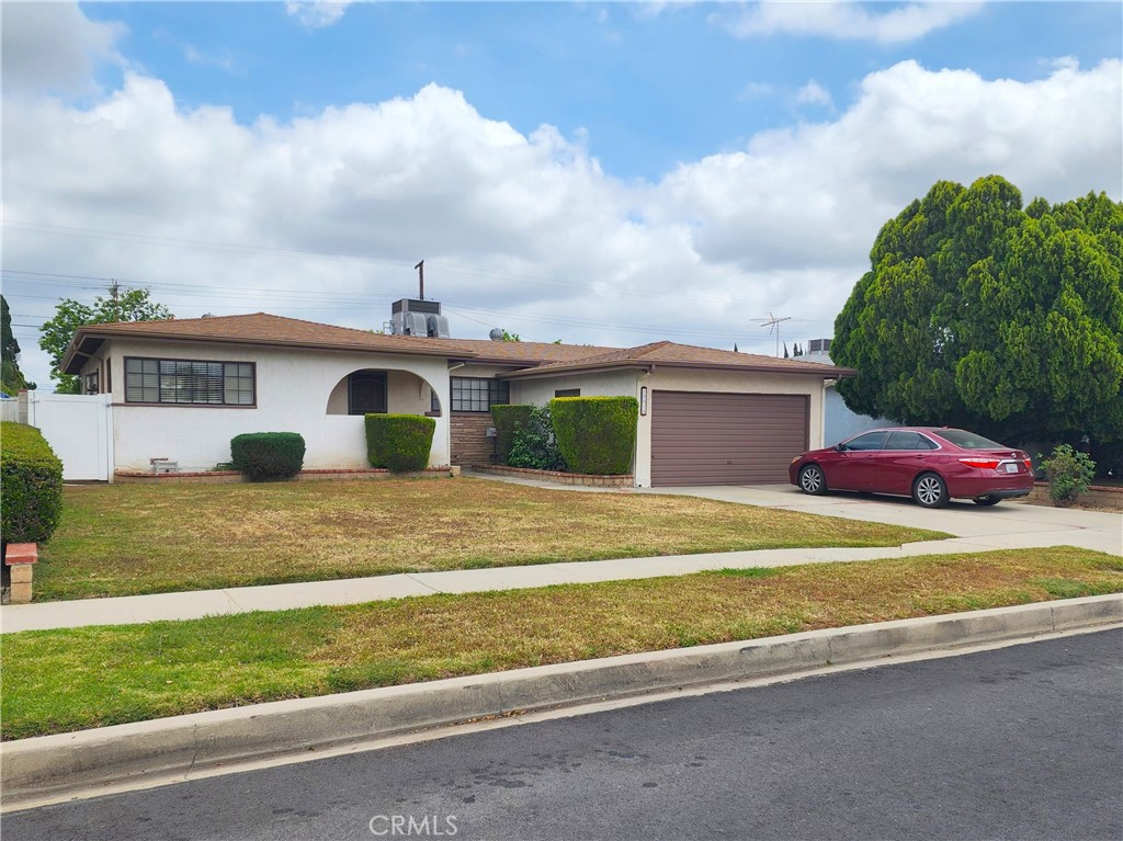 10014 Gaviota