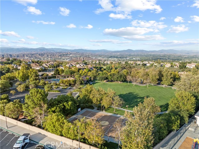 Image 58 of 60 For 25679 Smoketree