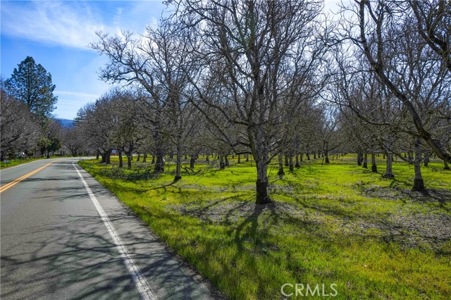 10010 Elk Mountain Road, Upper Lake/ Upper Lake Valley, California 95485, ,Land,For Sale,10010 Elk Mountain Road,CRLC23044793