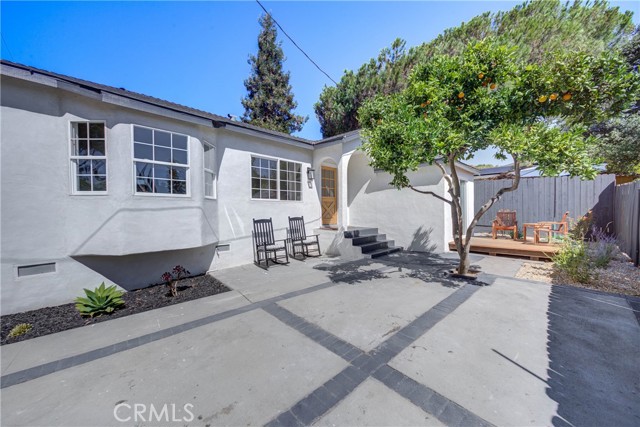 Main House Yard and Orange Tree