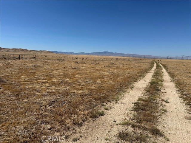 125 STW Avenue, Lancaster CA: https://media.crmls.org/medias/52cbacb0-1950-443f-93fa-d718684c27d3.jpg