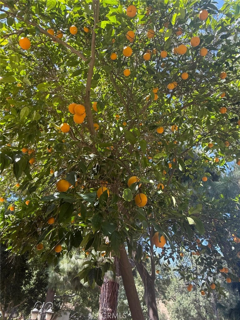 https://media.crmls.org/medias/52cee3ac-c607-4d45-8fc6-a2beb98f3865.jpg?preset=X-Large