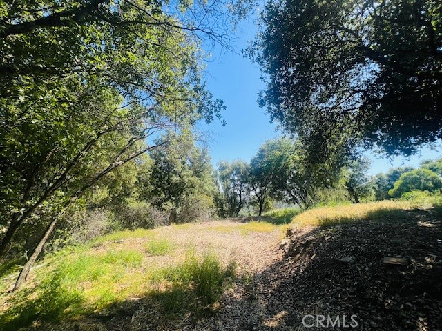 Detail Gallery Image 8 of 75 For 8697 Fraguero Rd, Sonora,  CA 95370 - 4 Beds | 2/1 Baths
