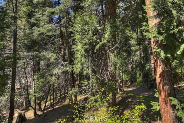 Detail Gallery Image 30 of 48 For 28730 Potomac, Lake Arrowhead,  CA 92352 - 3 Beds | 3 Baths