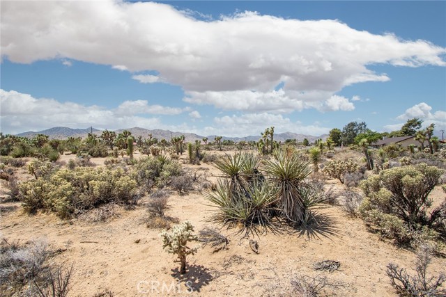 Detail Gallery Image 13 of 24 For 2674 Manana Ave, Joshua Tree,  CA 92252 - – Beds | – Baths