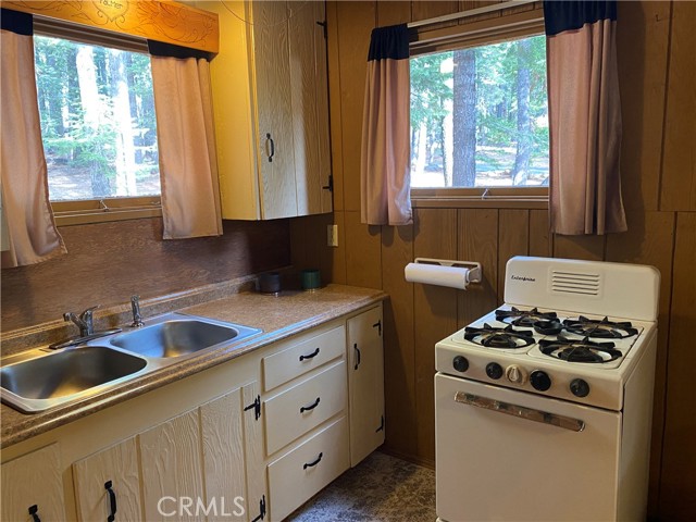 Propane Cooking Stove, Stainless Sink and lots of Cabinet Space with Windows for Lovely Forest Views