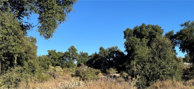 Front Image Thumbnail for CRSW26060572