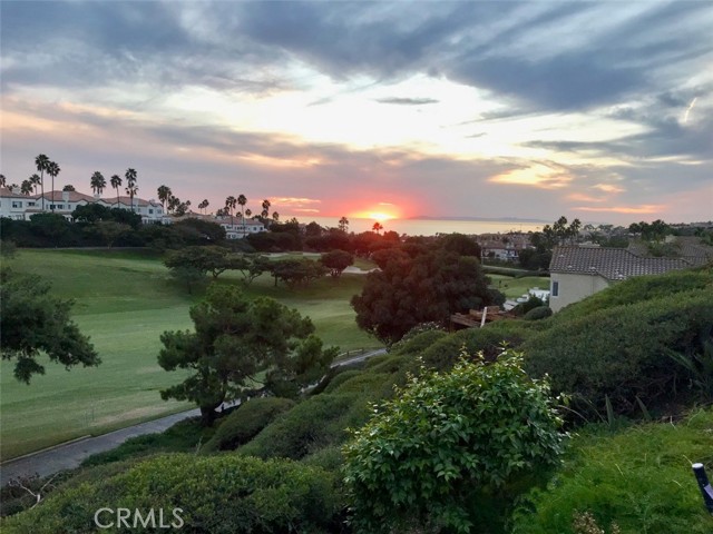 8 Reina, Dana Point, CA 92629