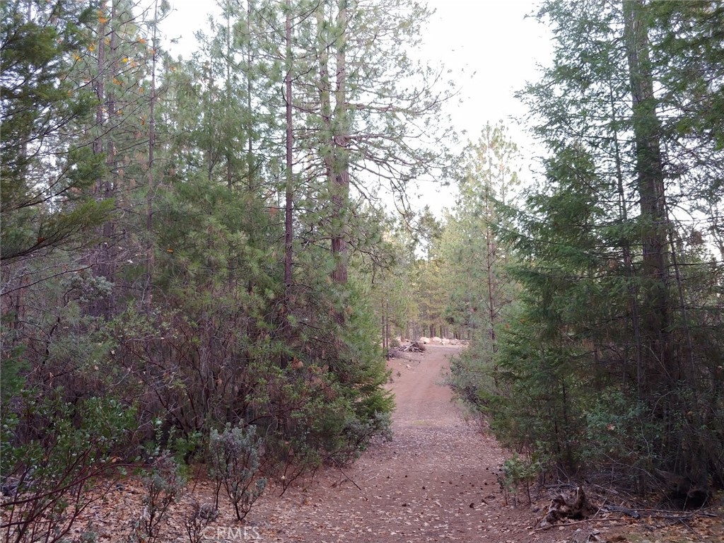 https://media.crmls.org/medias/52e253cd-51e8-4eff-a74e-fff7a51b2cc1.jpg?preset=X-Large