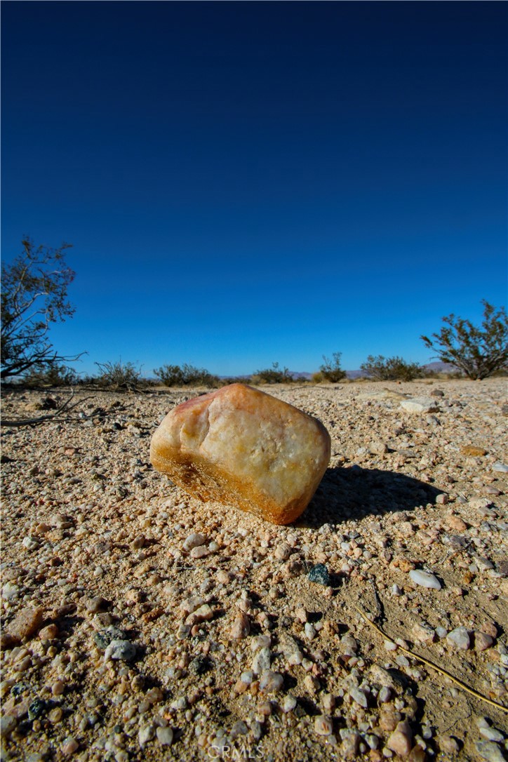 MLS #JT25235067 image #20