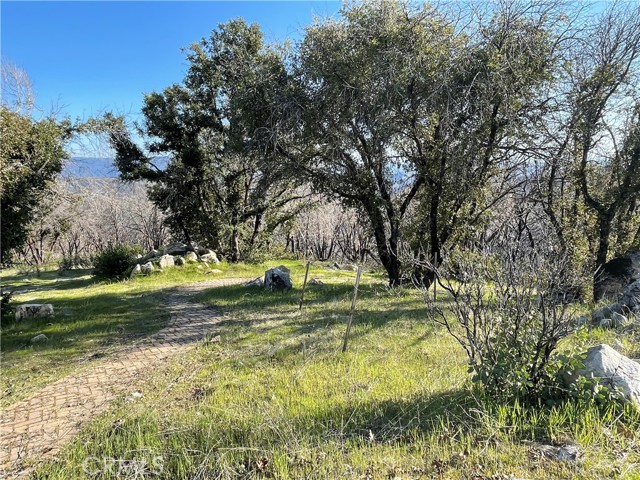 363 Raccoon Road, Berry Creek, California 95916, ,Land,For Sale,363 Raccoon Road,CROR24029245