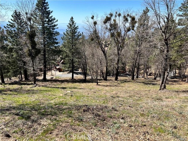 41 Fredalba Road, Running Springs CA: https://media.crmls.org/medias/53023db0-be43-4932-bdbf-1a72d657386a.jpg