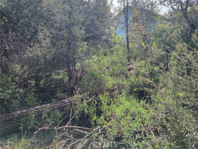 Front Image Thumbnail for CRPI26074070