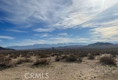 MLS #SR25260352 image #4