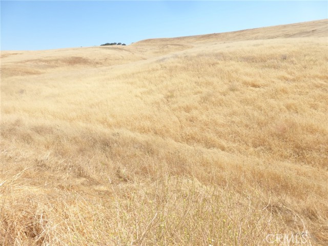 Detail Gallery Image 13 of 15 For 0 Douglas Rd. (Lot 43), San Miguel,  CA 93451 - – Beds | – Baths