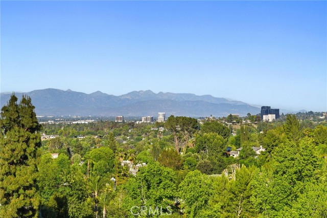 Detail Gallery Image 51 of 64 For 5932 Ellenview Ave, Woodland Hills,  CA 91367 - 5 Beds | 4 Baths