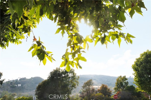 26422 Paseo Carmel, San Juan Capistrano CA: https://media.crmls.org/medias/530cd6ed-f493-4aed-bd45-10fbbf73a1e2.jpg