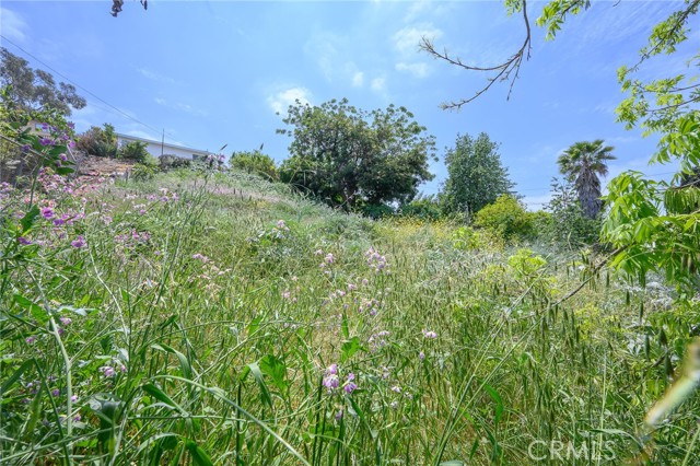 4548 Jade Street, Los Angeles CA: https://media.crmls.org/medias/5317d398-cd59-473b-a50c-92436cebc30d.jpg