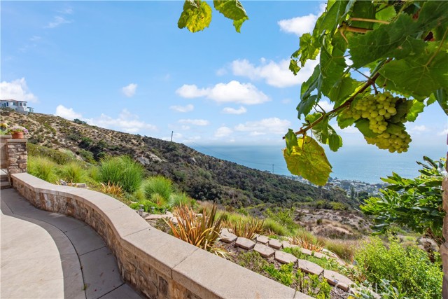 Detail Gallery Image 71 of 73 For 4 Le Conte, Laguna Niguel,  CA 92677 - 4 Beds | 4/1 Baths