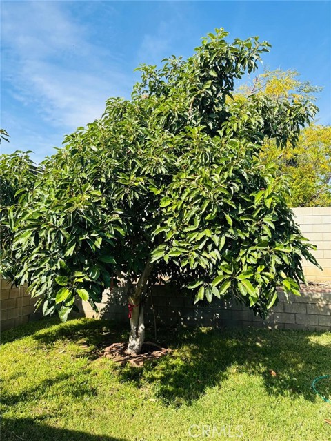 Detail Gallery Image 18 of 20 For 15162 Cambria St, Fontana,  CA 92335 - 4 Beds | 2 Baths