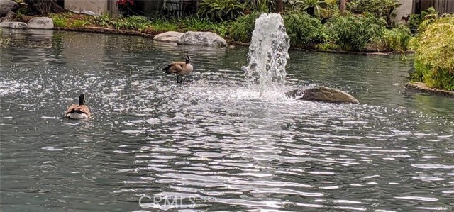 Detail Gallery Image 44 of 57 For 4900 E Chapman Ave #51,  Orange,  CA 92869 - 2 Beds | 2 Baths