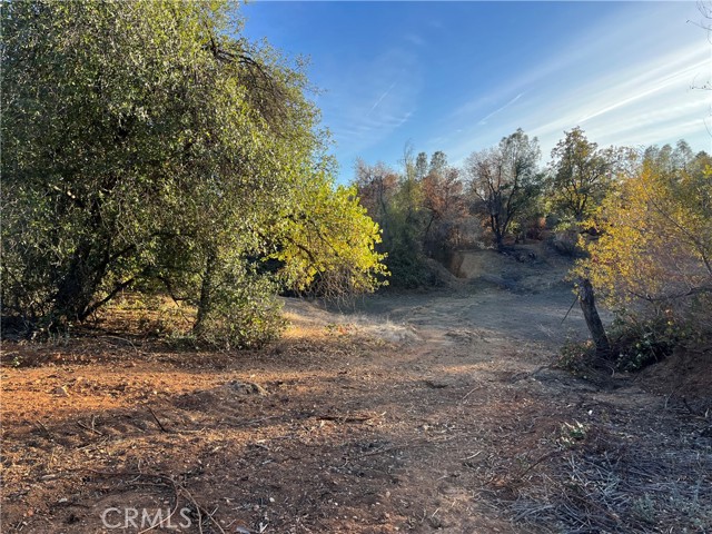 16675 Palm Avenue, Anderson, California 96007, ,Land,For Sale,16675 Palm Avenue,CRSN23212047