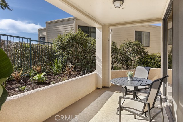 South facing portion of patio overlooking garden and Czuegler Park