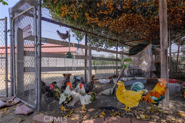 17470 Vanderhill Circle, Perris CA: https://media.crmls.org/medias/532b5419-9bec-4bc6-815f-910bd5e2846e.jpg