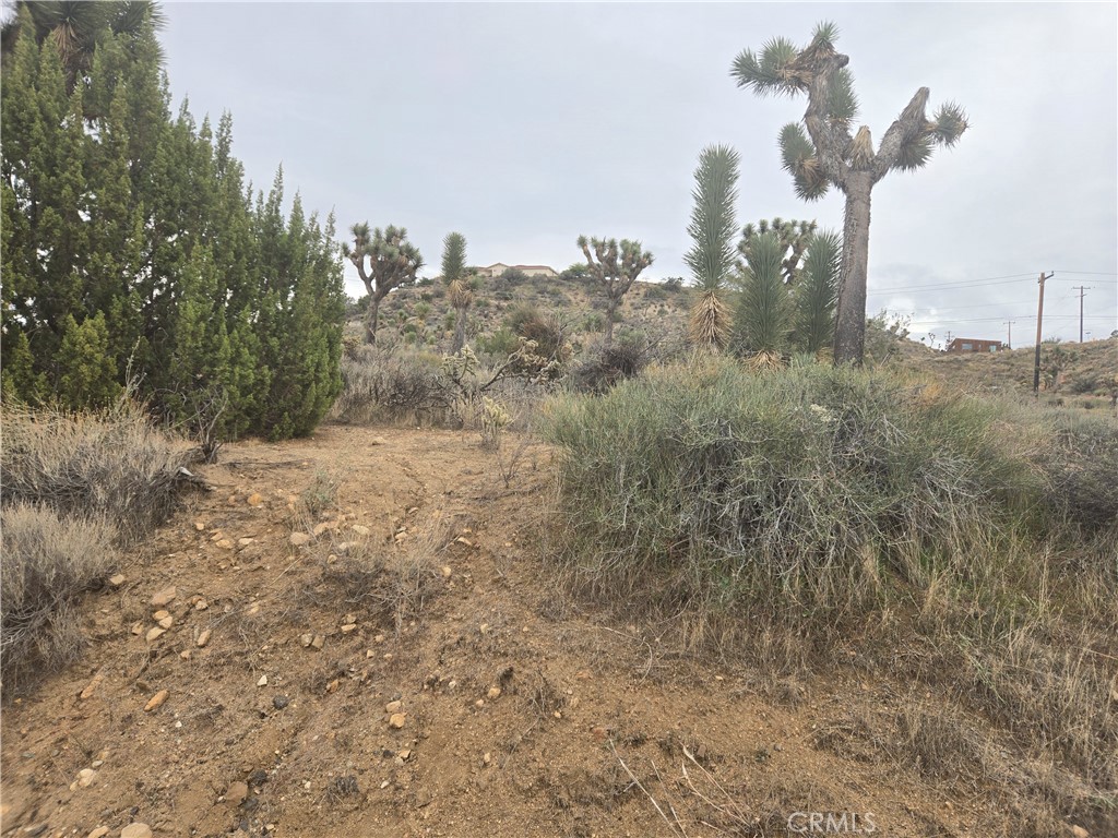 MLS #JT25260765 image #1