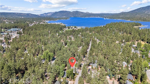 Detail Gallery Image 64 of 69 For 41659 Mockingbird Dr, Big Bear Lake,  CA 92315 - 4 Beds | 2/1 Baths