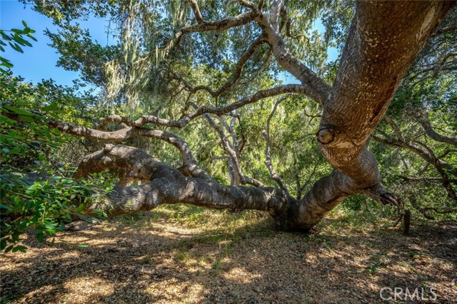 Detail Gallery Image 70 of 75 For 1300 Calle Cordoniz Road, Los Osos,  CA 93402 - 3 Beds | 2 Baths