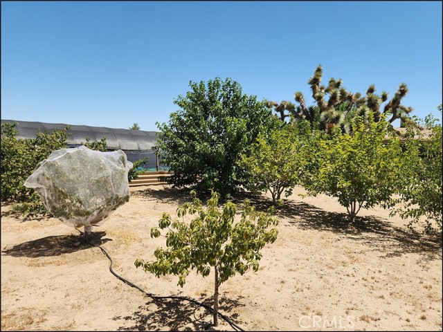 Detail Gallery Image 37 of 50 For 4000 Shepherd Rd, Phelan,  CA 92371 - 3 Beds | 2 Baths